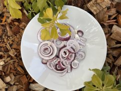 Lyofilizovaná červená cibule