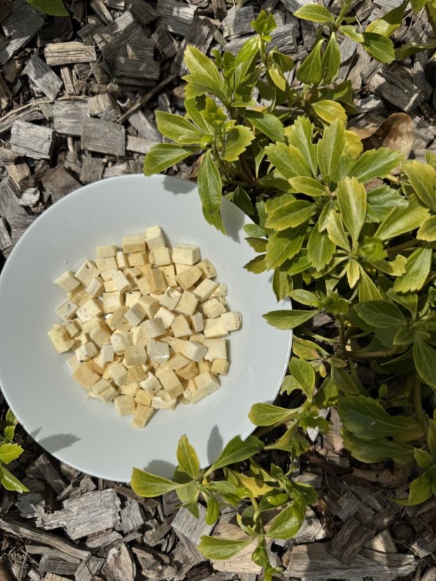 Lyofilizovaný sýr Gouda (s lanýžem) NL