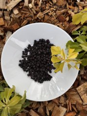 Lyofilizované borůvky