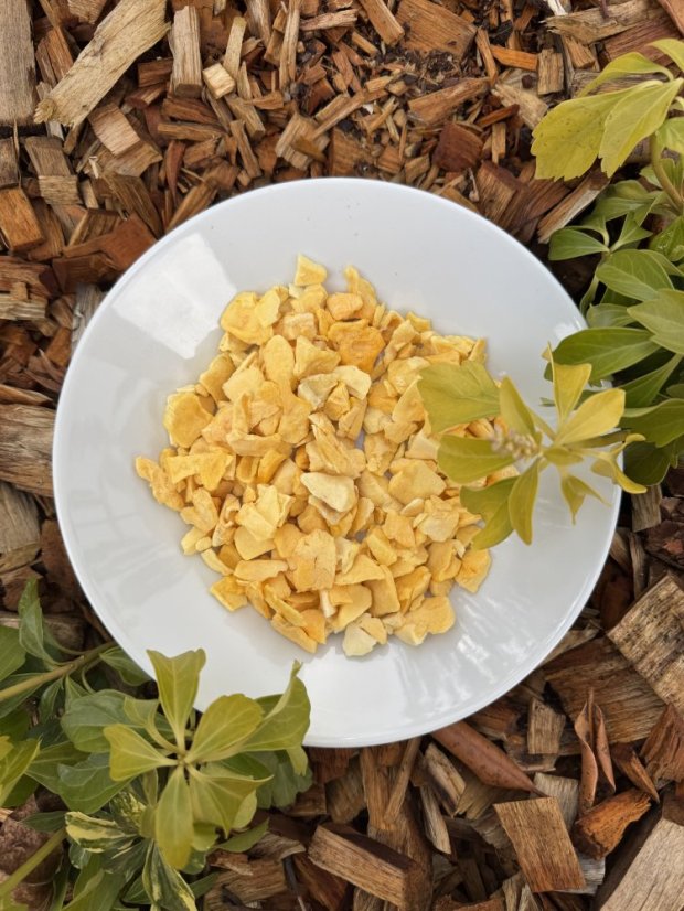 Lyofilizované mango