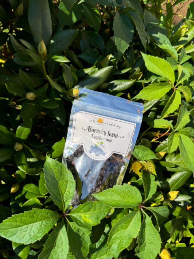 Lyofilizované borůvky