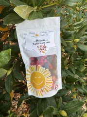 Lyofilizovaný mix - jahoda, malina, ostružina, borůvka