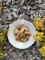 Lyofilizované hrušky se skořicí