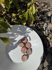 Lyofilizovaná klobása