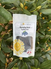 Lyofilizované borůvky