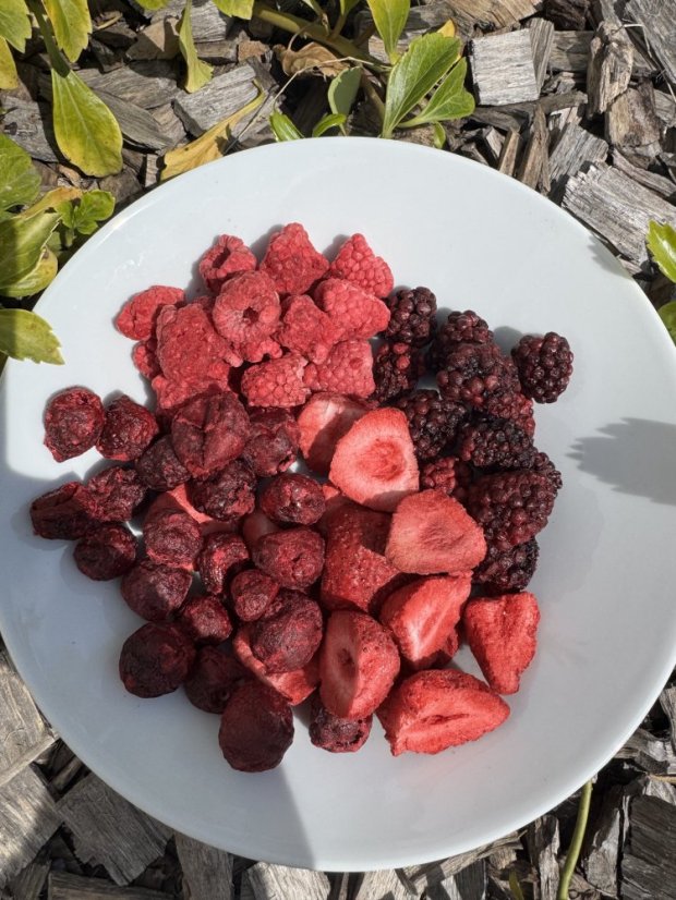 Lyofilizovaný mix - jahoda, malina, ostružina, višeň