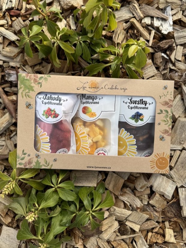 Jarní krabička lyofilizovaného ovoce (jahody,mango,švestka)