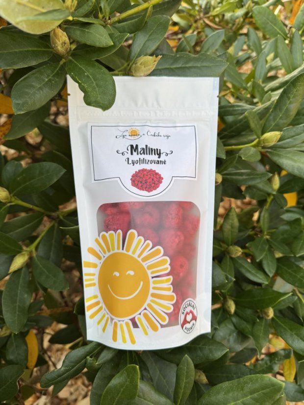 Lyofilizované maliny