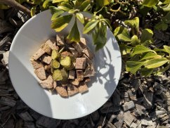 Lyofilizovaná sekaná s kyselou okurkou