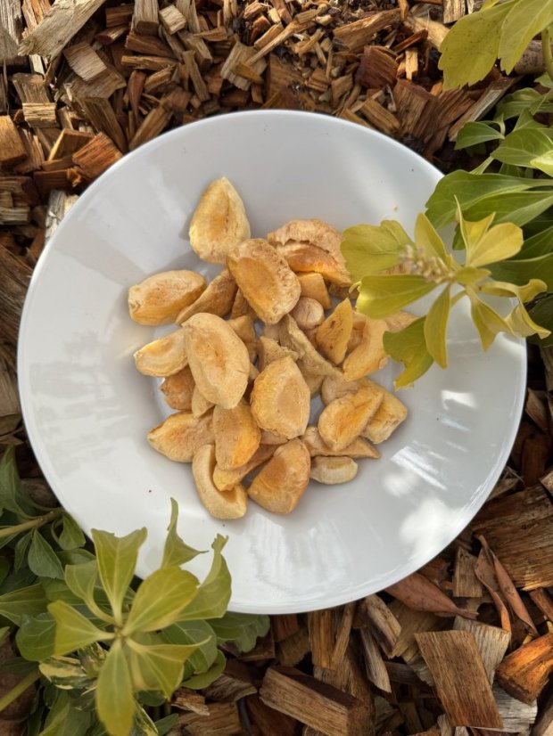 Lyofilizované meruňky