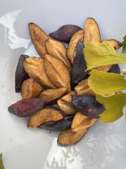 Lyofilizované švestky