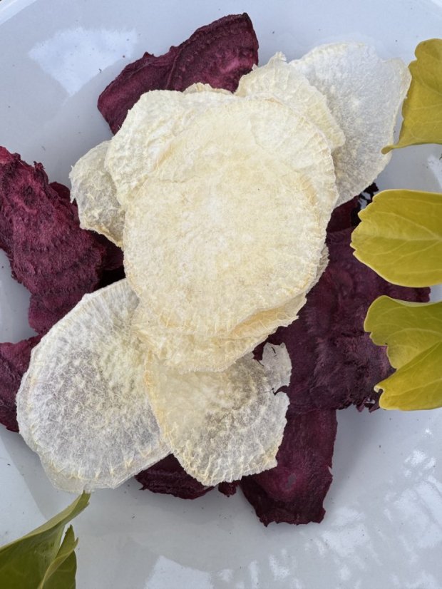 Lyofilizovaní řepa a ředkev