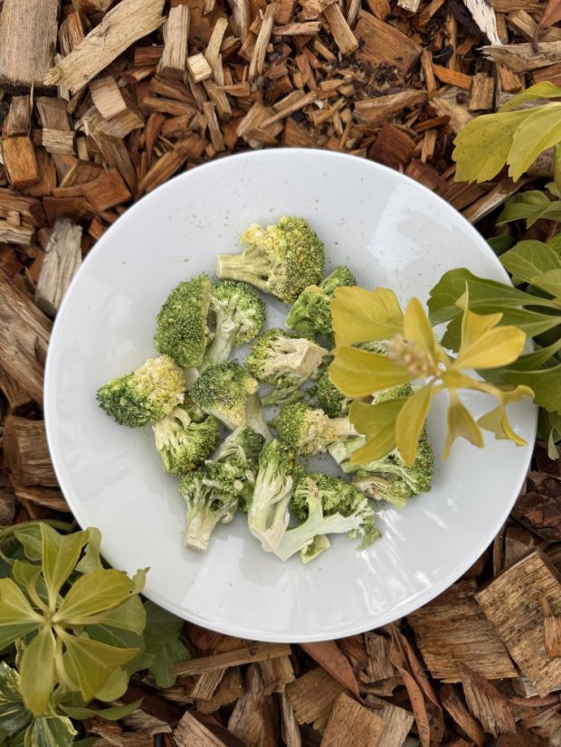 Lyofilizovaná brokolice