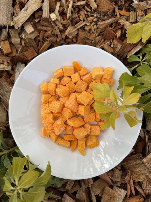 Lyofilizovaná dýně Hokaido