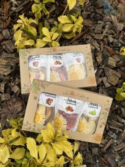 Jarní krabička lyofilizovaného ovoce AKCE !!!