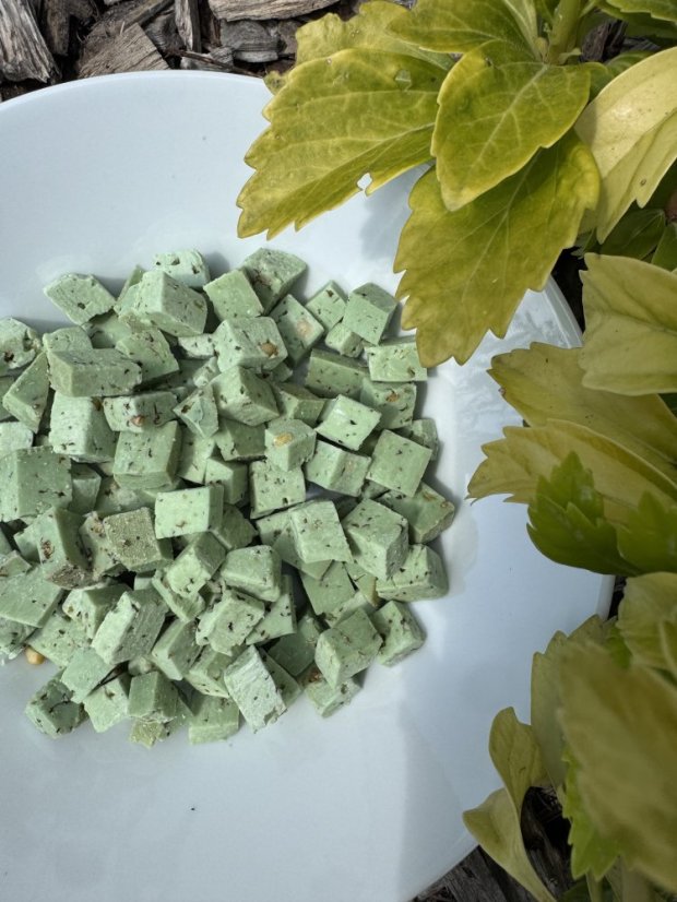 Lyofilizovaný sýr (zelené pesto-bylinky)  NL
