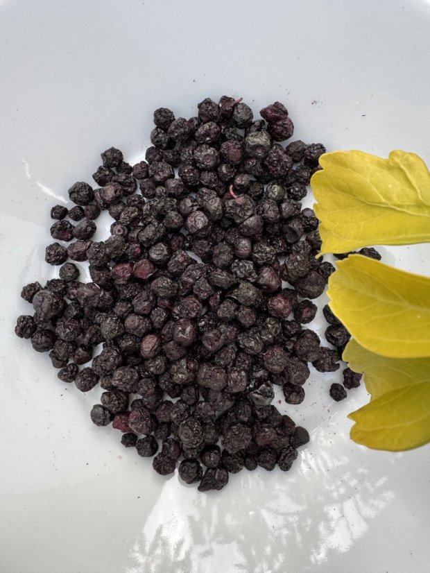 Lyofilizované borůvky