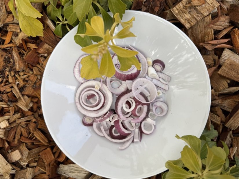 Lyofilizovaná červená cibule