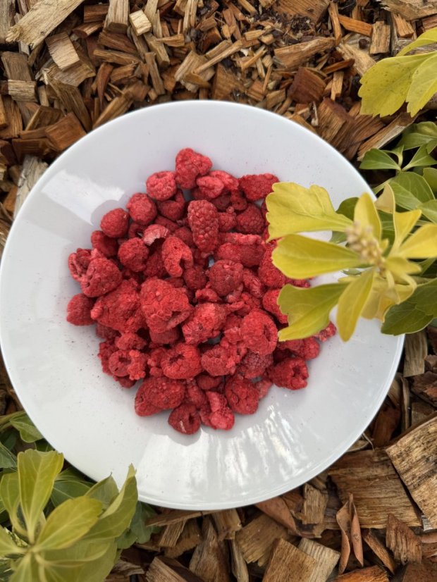 Lyofilizované maliny