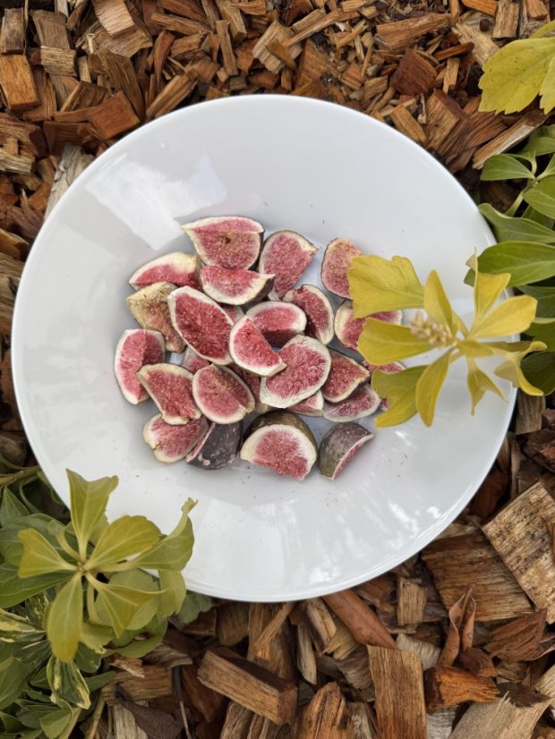 Lyofilizované fíky