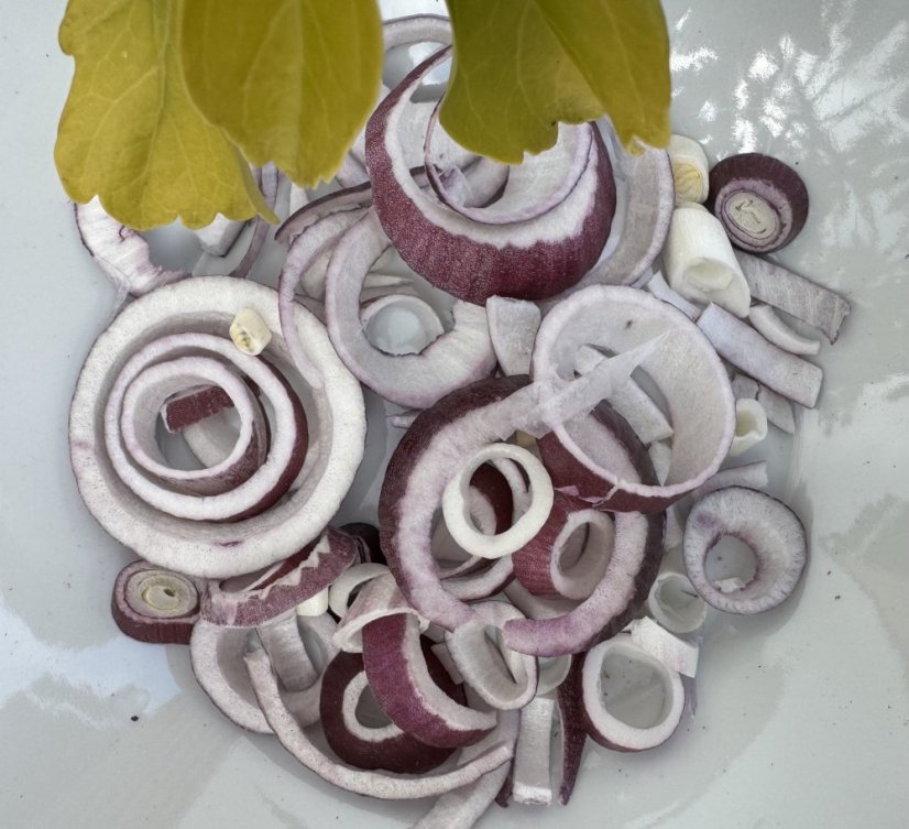 Lyofilizovaná červená cibule