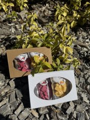Holandská krabička lyofilizovaných sýrů (červené pesto, čedar)