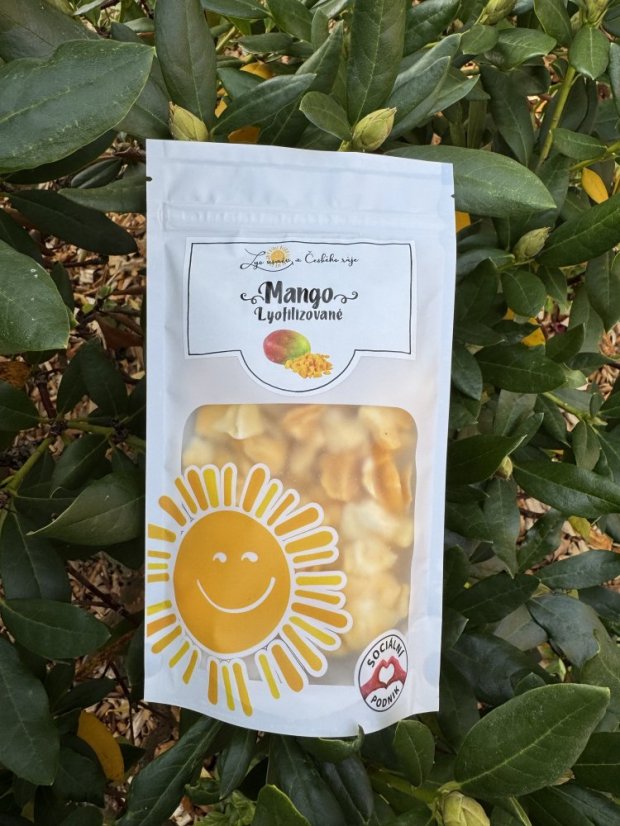 Lyofilizované mango