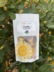 Lyofilizované švestky