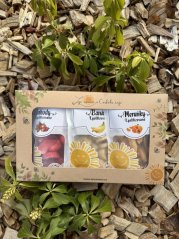 Jarní krabička lyofilizovaného ovoce (jahody,banán,meruňky)