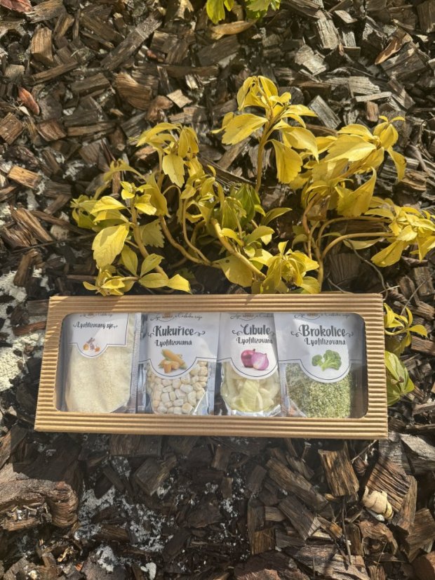 Krabička s lyofilizovanou zeleninou a tvarůžky