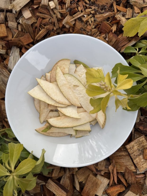 Lyofilizované hrušky