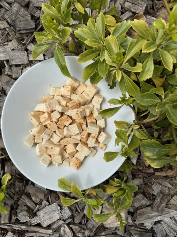 Lyofilizovaný kozí sýr (sambal-chilli) NL