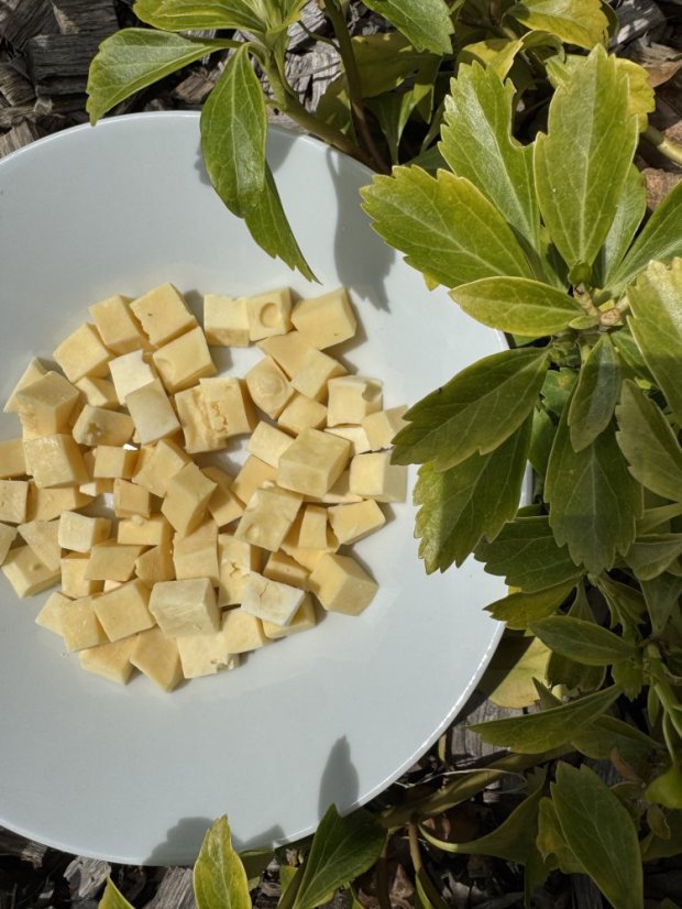 Lyofilizovaný sýr Gouda (čistá-mladá) NL