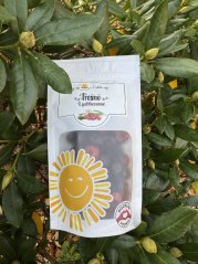 Lyofilizované třešně