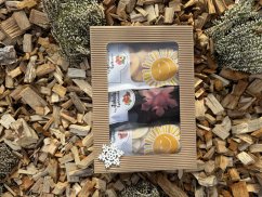 Vánoční krabička (3 druhy ovoce - ozdobná)