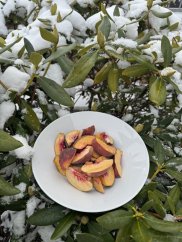 Lyofilizované broskve