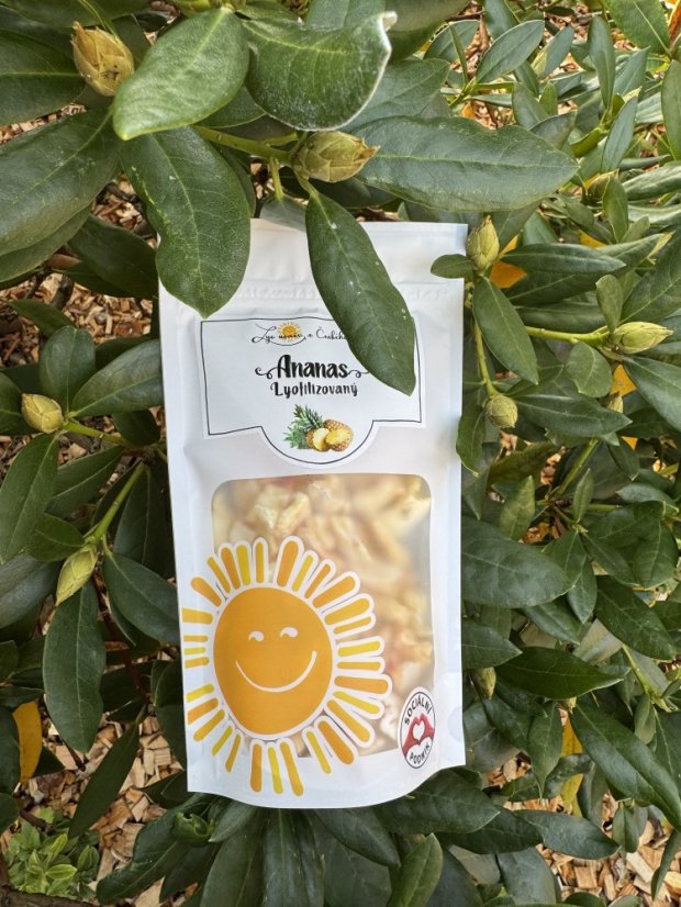 Lyofilizovaný ananas