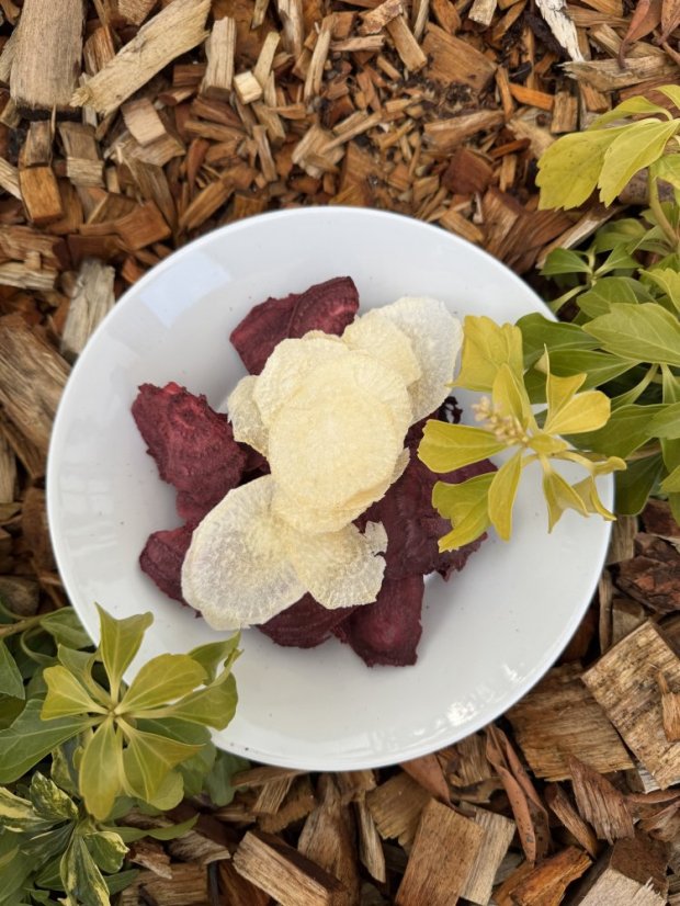 Lyofilizovaní řepa a ředkev