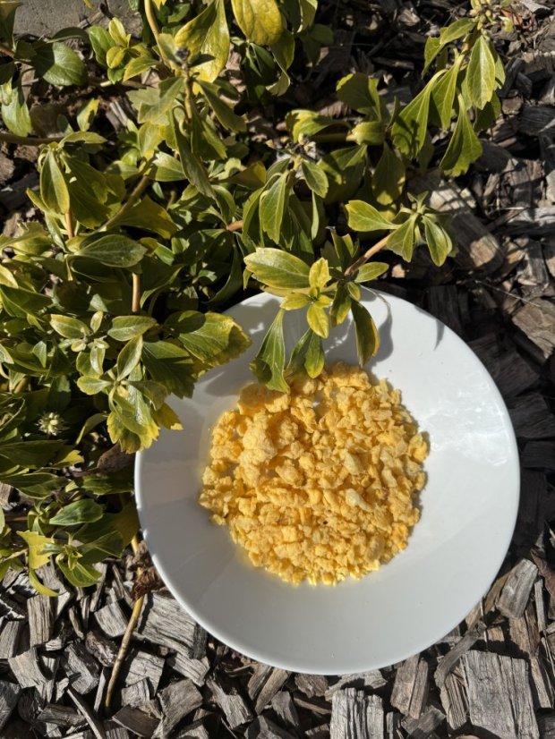 Lyofilizovaná míchaná vajíčka