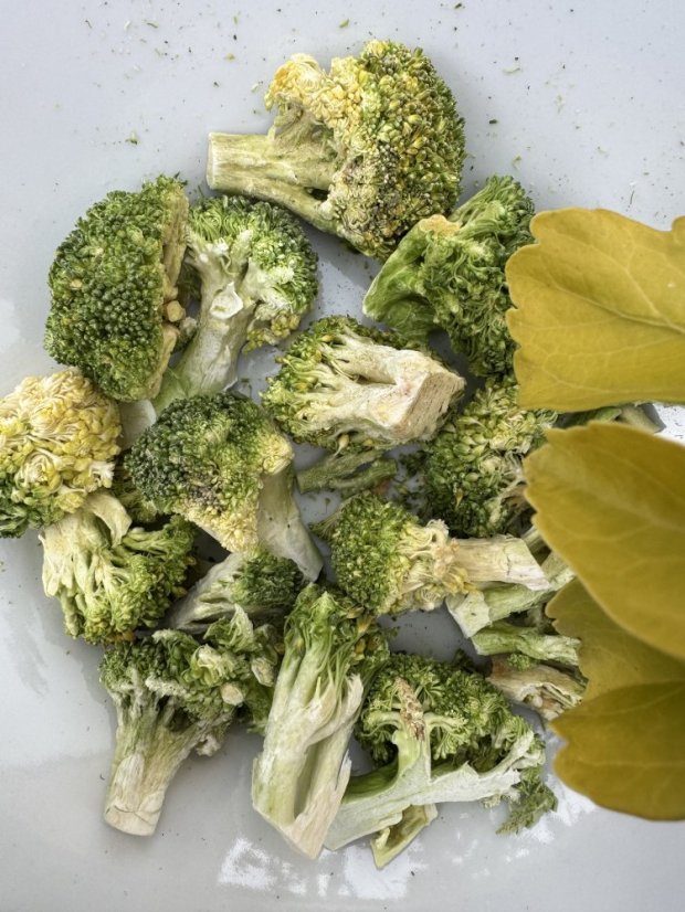 Lyofilizovaná brokolice