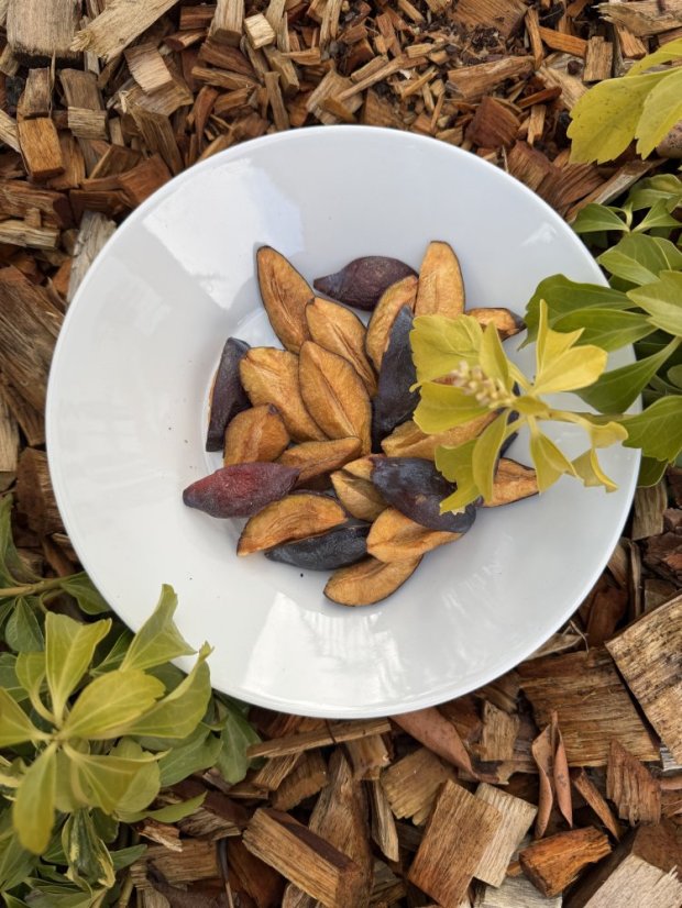 Lyofilizované švestky