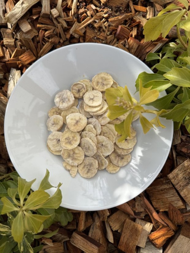 Lyofilizovaný banán