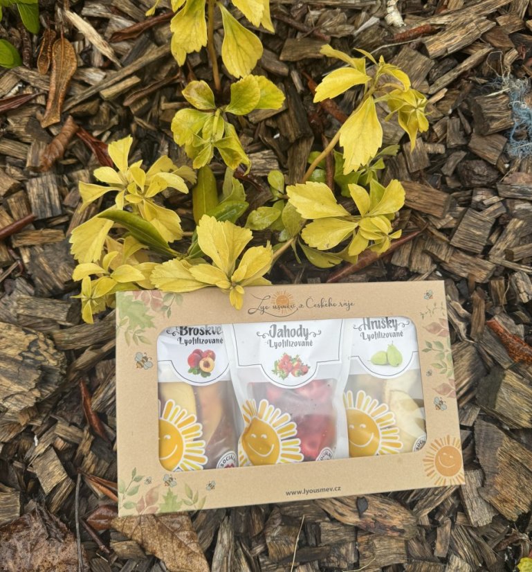 Jarní krabička lyofilizovaného ovoce AKCE !!!