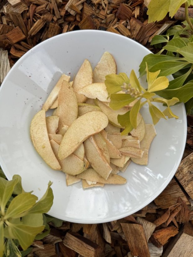 Lyofilizované jablka