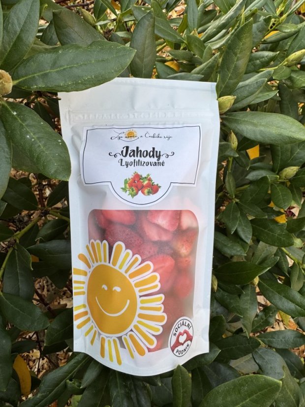 Lyofilizované jahody