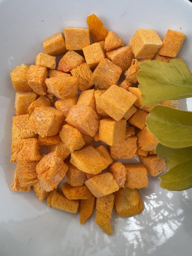 Lyofilizovaná dýně Hokaido