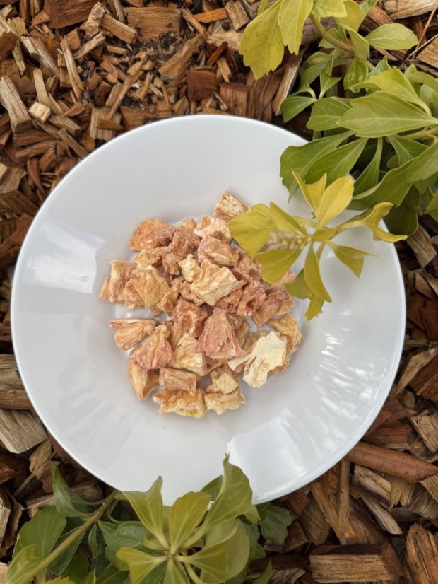 Lyofilizovaný ananas