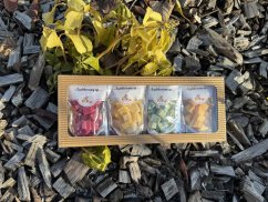 Holandská krabička lyofilizovaných sýrů